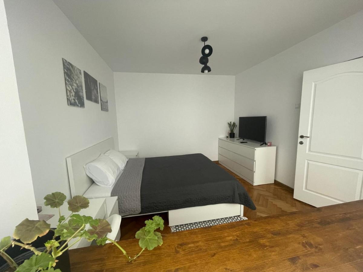 Apartament De Lux Semicentral Iasi Eksteriør billede